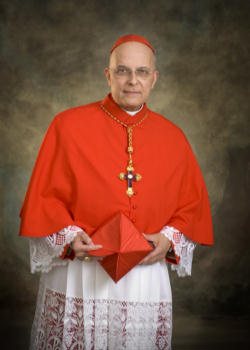 Image of The Cardinal urged concerned Catholics to do what you are supposed to be doing: to call, to email, to write letters, to express what's in your heart about this: the embarrassment, the difficulties.