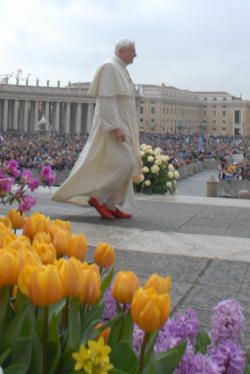 Image of The Catholic Universities' commitment to serve the truth is a share in the Church's mission to evangelize, said the Holy Father.