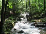 Image of A couple of weeks are behind us, but there are still several to go, and it is here that we begin to see the liturgical readings about the waters of refreshment. 