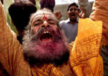 Image of 