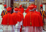 Image of Cardinals processing