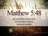 Image of The way of perfection passes by way of the Cross. There is no holiness without renunciation and spiritual battle.
