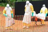 Image of The World Health Organization reports that over 1,000 people have died in the Ebola outbreak which began in March of 2014.