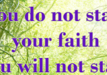 Image of