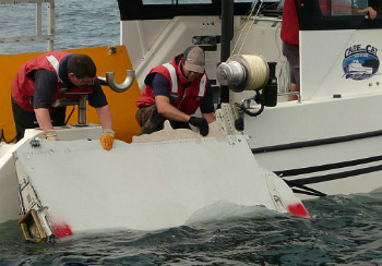 Scientists testing the flaperon discovered it floats uniquely, changing the results of their tests.