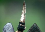 Image of FGM is happening in the U.S.