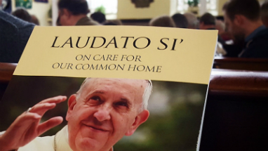 Pope Francis has made clear that care for creation is a major concern of the Church and humanity.