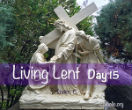 Image of