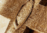 Image of The fish enjoys Scriptural prominence too. Several apostles were fishermen, called to be 'fishers of men'.