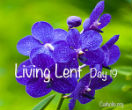 Image of
