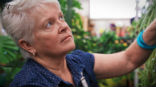 Image of Barronelle Stutzman