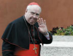 Image of Cardinal Domenico Calcagno.