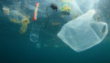Image of Plastic waste pollutes our oceans and is killing wildlife. 