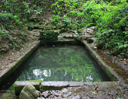 Image of St. Dyfnog
