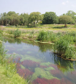 Image of St. Erth